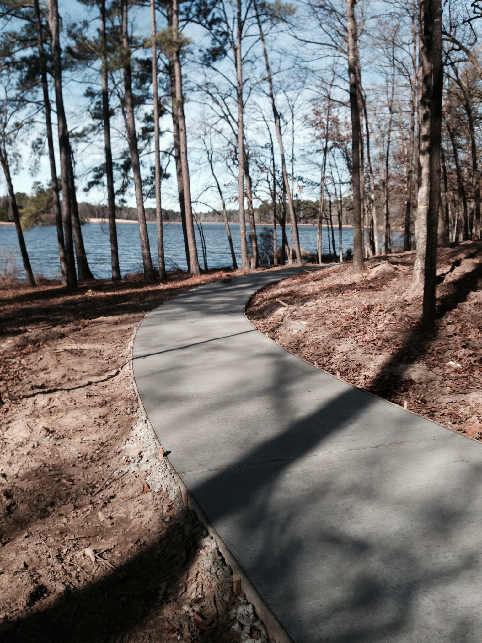 Bringle Boardwalk Trail